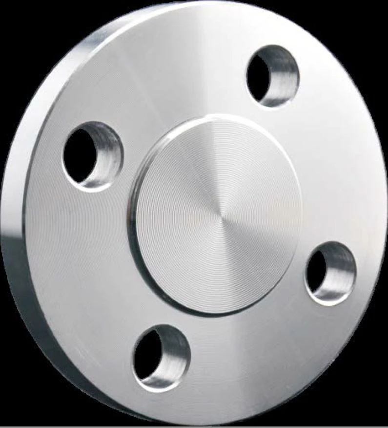 Stainless Steel Plate Flanges